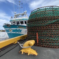 Des casiers de crabes traditionnels sont empilés sur un quai, près d'un bateau.
