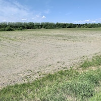 La Municipalité d’Alfred-Plantagenet a fait l’acquisition de cette terre agricole dans l’optique d’y accueillir le projet de centre alimentaire innovateur des CUPR. (Photo Denis Babin)