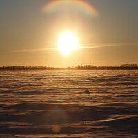 De la neige dans un champ à la frontière entre le Manitoba et les États-Unis, le 20 janvier 2022.