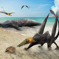 Illustration artistique d'un ptérosaure sur une plage.
