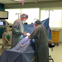 Deux travailleurs de la santé font une chirurgie sur un mannequin.