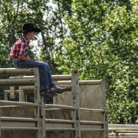 Un garçon portant un chapeau et des bottes de cowboy assis sur la structure des stalles.
