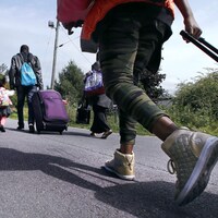 Des migrants haïtiens s'approchent de la frontière du Québec, transportant leurs valises.