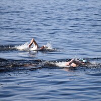 Des nageurs se trouvent dans les eaux du lac Saint-Jean