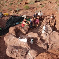 Des paléontologues prennent la pose avec les ossements fossilisés du « Patagotitan mayorum ».