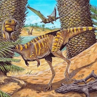 Illustraion d'un Berthasaura leopoldinae dans son milieu naturel.