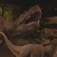 Reproductions de dinosaures au musée.