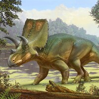 Illustration artistique d'un Sierraceratops turneri dans son milieu naturel.