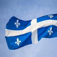 Le drapeau fleurdelisé sur un mat