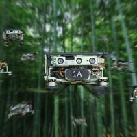 Des drones dans la forêt.