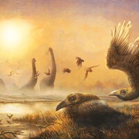 Illustration artistique représentant des Falcatakely forsterae au milieu de dinosaures du Crétacé supérieur à Madagascar.