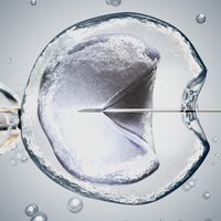 Illustration d'une image au microscope d'une fécondation in vitro.
