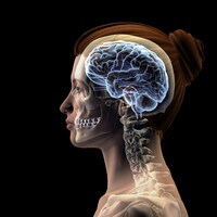 Illustration montrant la tête d'une femme, son crâne et son cerveau.