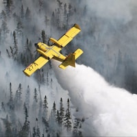 Un avion deverse de l'eau sur une forêt en feu.