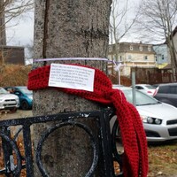 Un foulard rouge accroché à un arbre. 