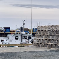 Des casiers à homard sur le bord d'un quai, près d'un bateau de pêche.