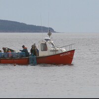 On voit un bateau avec trois hommes à bord. Ils pêchent le homard. Des casiers se trouvent dans le bateau. 