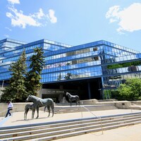 Sculptures de chevaux en métal avec un bâtiment vitré.