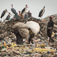Des oiseaux observent des enfants qui transportent des ballots de vêtements.