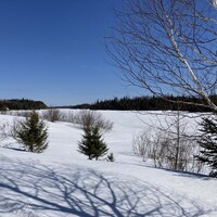 Le lac Genest gelé avec des arbres à proximité.