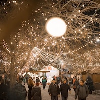 Un arbre illuminé trône au-dessus d'une rue piétonnière où des gens vêtus de manteaux circulent.