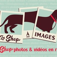 Une infographie de chien saucisse sur des photos de Polaroïd avec le texte «La shop à images, votre shot photos et vidéos en région».