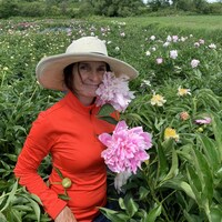 Une femme dans un champ de pivoines.