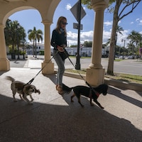 Une femme tient deux chiens en laisse et passe sous une arche.

