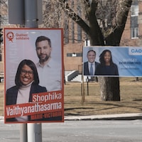 Pancartes électorales dans le comté de Marie-Victorin.