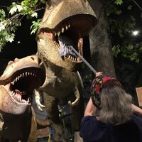 Une personne nettoie les dents d'un faux Tyrannosaurus rex avec une serpillière.