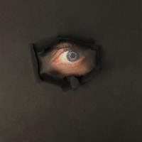 Photographie d'un oeil qui regarde à travers le trou d'une feuille.