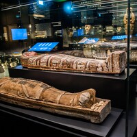 Des momies exposées derrière des vitrines dont les sarcophages sont décorés.