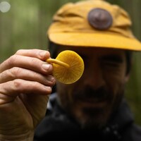 Un homme tient un champignon jaune à la hauteur de son oeil.