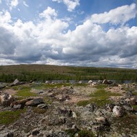 Scène de paysage subarctique avec une rivière, du lichen et de petits conifères.