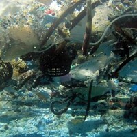 Près de huit millions de tonnes de plastique sont retrouvées dans les océans chaque année. 
