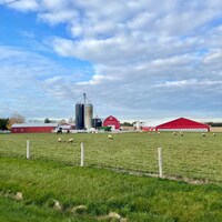 Vue d'un pâturage et des bâtiments de ferme.