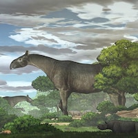 Reconstruction de l'apparence des rhinocéros géants dans la forêt.