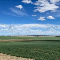 Les éoliennes du parc éolien Golden South de SaskPower, près d'Assiniboia, en Saskatchewan, le 14 juin 2022.