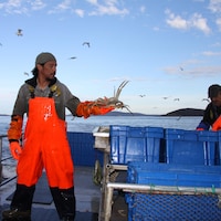 Pêche aux crabes Uapan