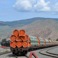 Les tuyaux sont sur des wagons de train, devant un paysage montagneux.