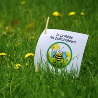 Une affiche sur laquelle est écrit : je protège les pollinisateurs est plantée sur une pelouse garnie de pissenlits.                            