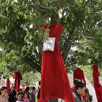 Des robes rouges accrochées aux arbres.
