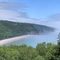 La côte couverte d'arbres et de végétation, ainsi que la baie sont photographiés d'une terrasse d'observation.