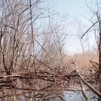 La biologiste Lyne Bouthillier, munie de jumelles, scrute les eaux d'un étang.