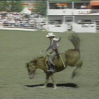Cow-boy sur un cheval pendant un rodéo. 