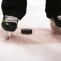 Une rondelle se trouve entre les patins d'un arbitre.