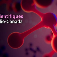 Depuis 1987, Radio-Canada décerne son prix du Scientifique de l'année à une ou des personnalités francophones dont les travaux ont marqué leur discipline.