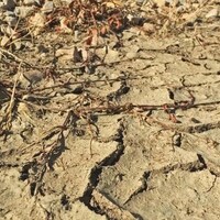 Un sol terreux fissuré par la sécheresse. 