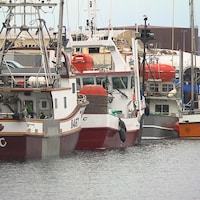 Plusieurs bateaux de pêche accostés à un quai.