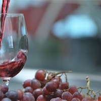 Un verre de vin entouré de grappes de raisin rouge.